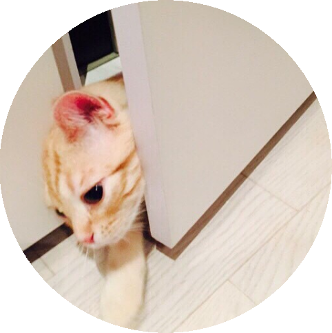 ねこ