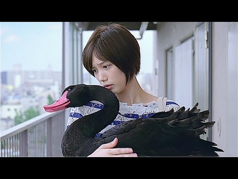 ブラックスワン